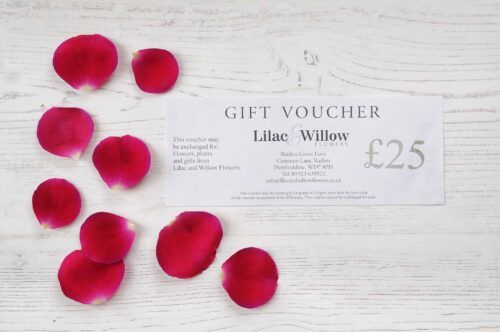Gift Voucher