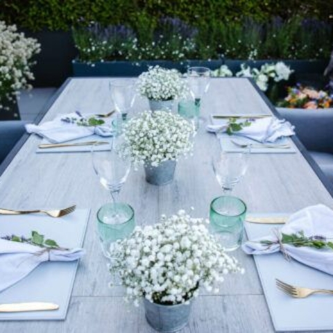 Gypsophelia Arrangement