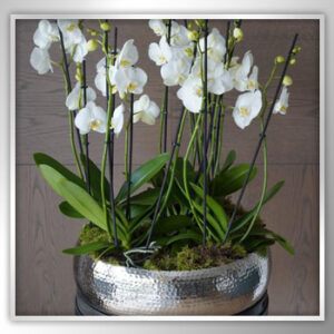 Rosh Hashanah - Celebrate With Flowers