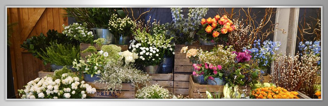Make Your Flowers Last Longer