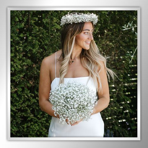 Gypsophelia Package