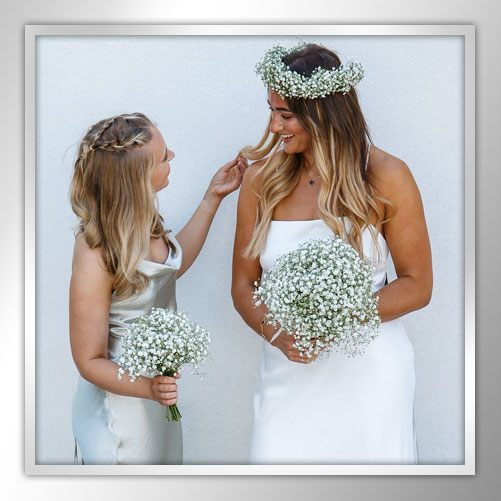 Gypsophelia Package