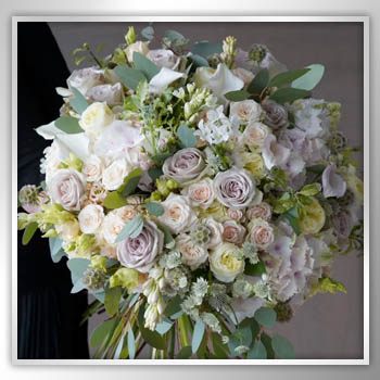 Spring into Spring with our Spring Flower Picks