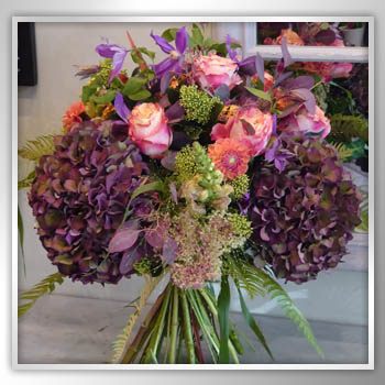 Seasonal September Blooms