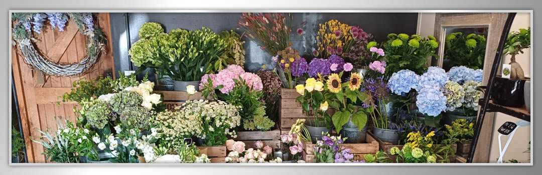 Seasonal September Blooms
