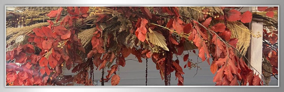 Fall into Autumn this October