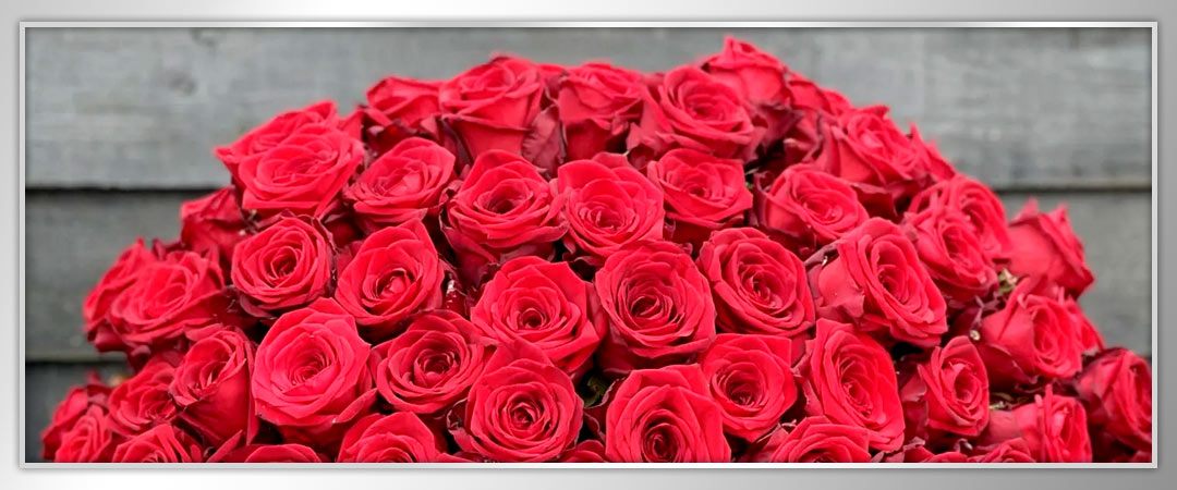 Valentine's