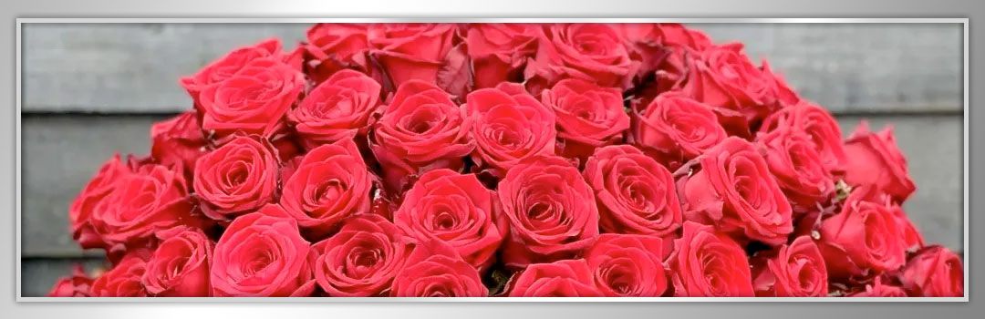 Spread the Love This February