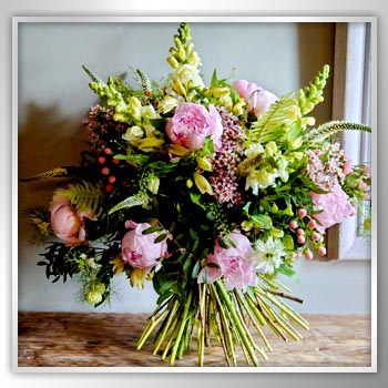 Summer Loving Flowers