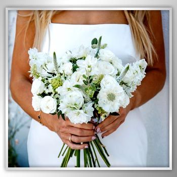 Summer Loving Flowers