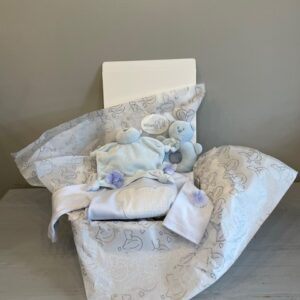 Baby Boy Box