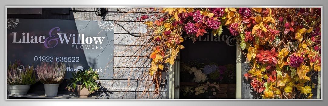 Fall for Autumn Offerings this October