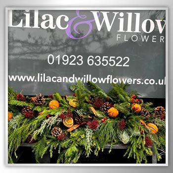 Get Holiday Ready with Lilac & Willow