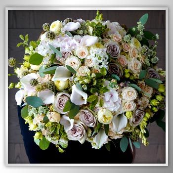 Get Holiday Ready with Lilac & Willow