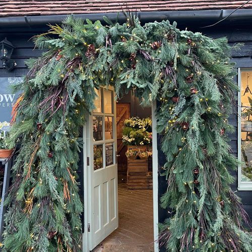 Get Holiday Ready with Lilac & Willow