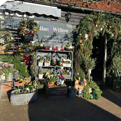 Get Gift Giving with Lilac & Willow
