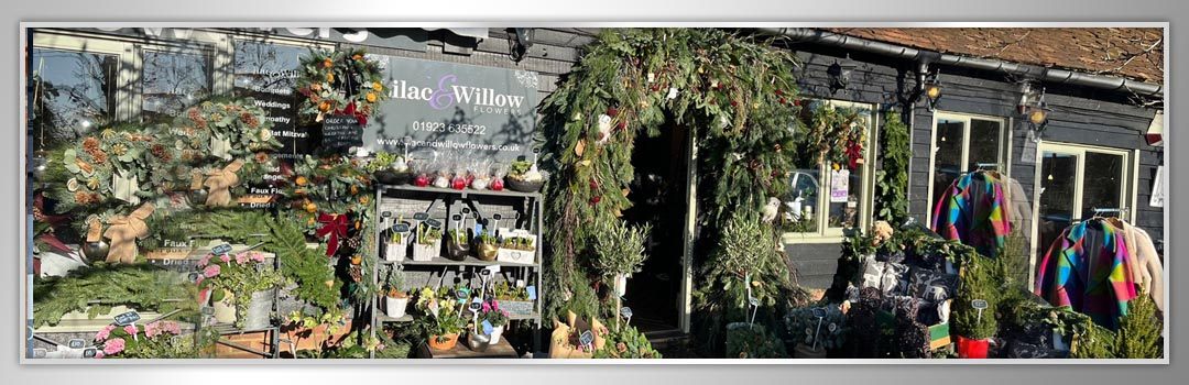 Get Gift Giving with Lilac & Willow