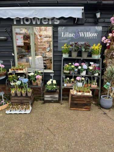 Spring is on the way, beautiful bulbs and plants arriving