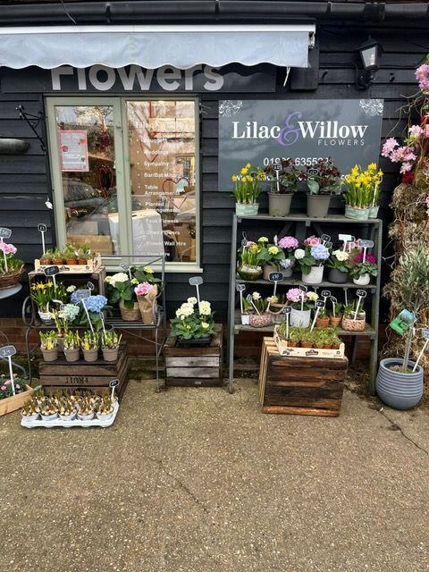 Spring is on the way, beautiful bulbs and plants arriving