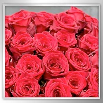It's time to spread the love this Valentine's Day