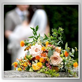 Spring into flowers this March