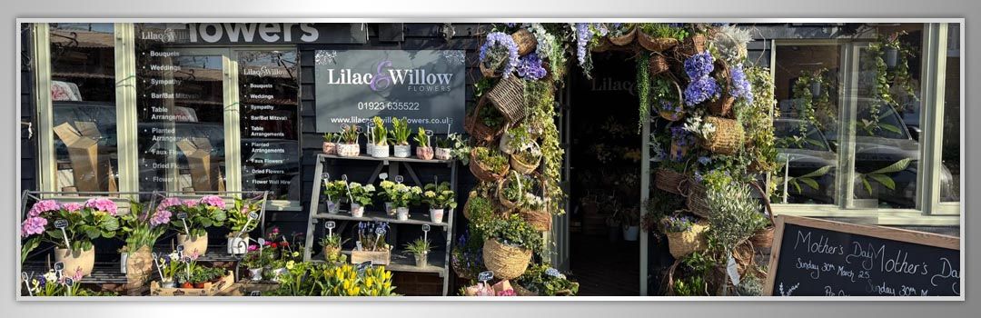 Spring into flowers this March