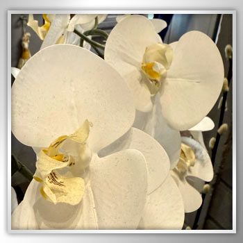 Blooming Marvellous in April