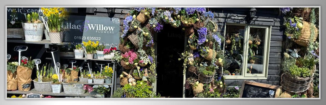 Blooming Marvellous in April