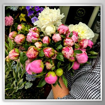 May I Bring You These Flowers?