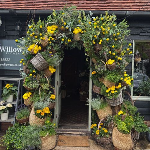 Chase the Summer Sun with our Beautiful Bouquets