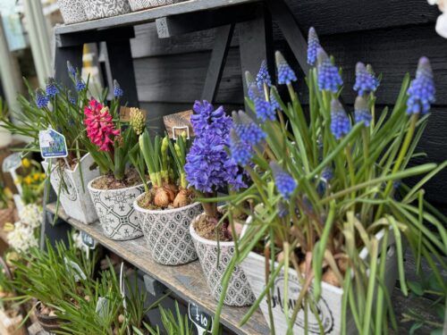 Add a Spring to your step with our new products