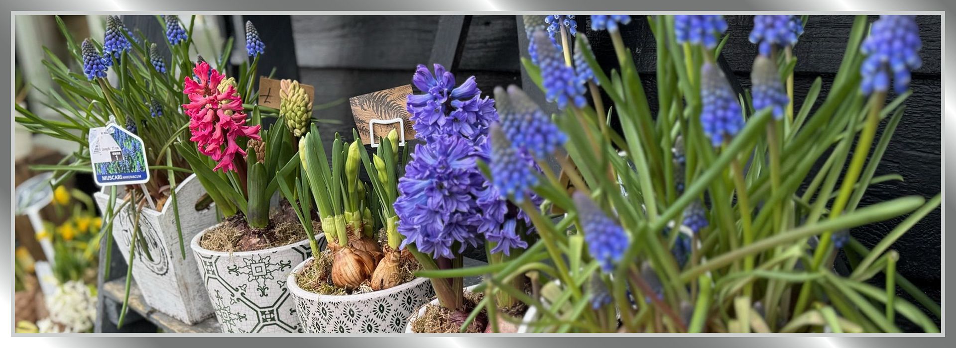 Add a Spring to your step with our new products