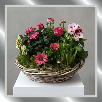 Add a Spring to your step with our new products