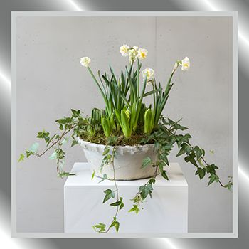 Add a Spring to your step with our new products
