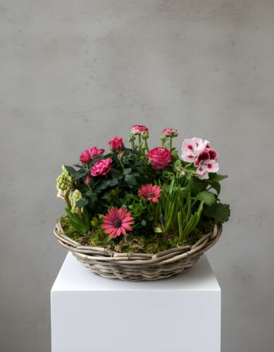 Seasonal Planted Basket