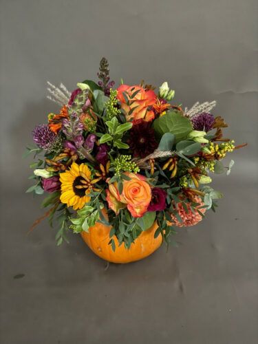 Pumpkin Display Workshop