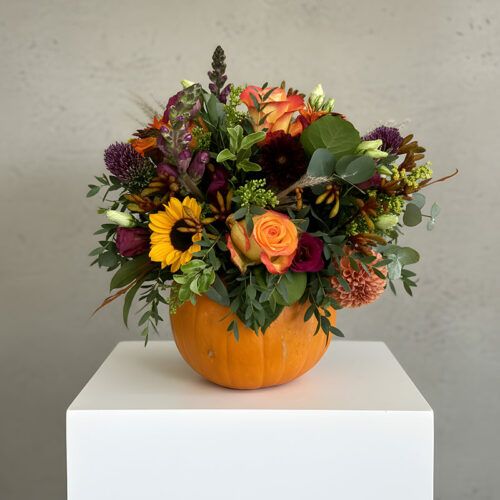 Pumpkin Display Workshop
