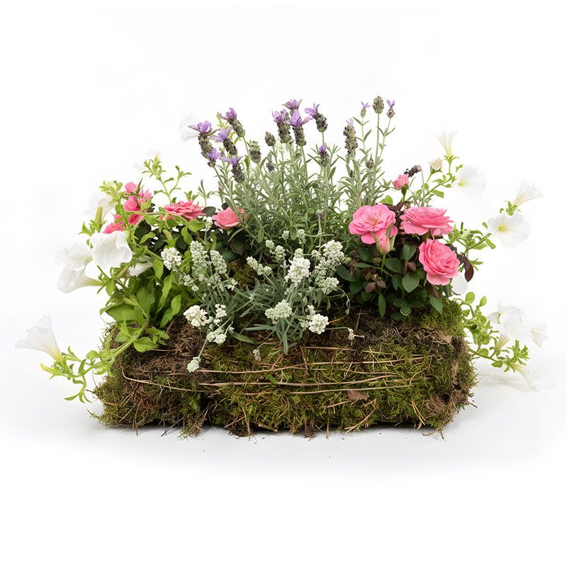 Living Eco Planted Spray